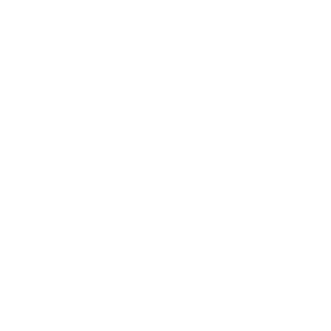 Godes Hankeys Toys